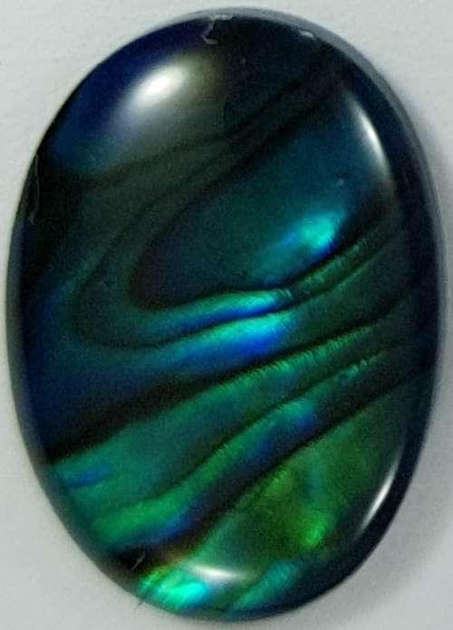 BLUE PAUA SHELL CABOCHON -  14 x 10mm OVAL