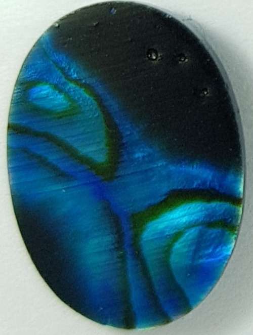 BLUE PAUA SHELL CABOCHON -  14 x 10mm OVAL