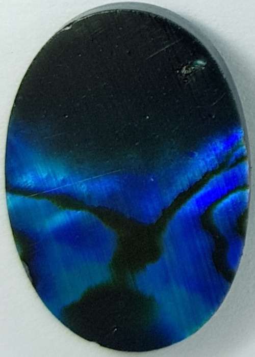 BLUE PAUA SHELL CABOCHON -  14 x 10mm OVAL