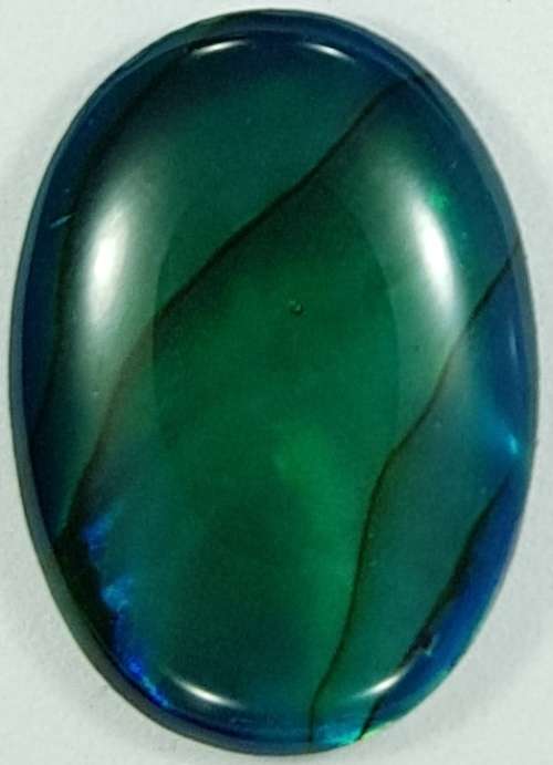 BLUE PAUA SHELL CABOCHON -  14 x 10mm OVAL