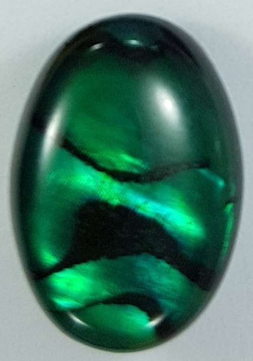 BLUE PAUA SHELL CABOCHON -  14 x 10mm OVAL