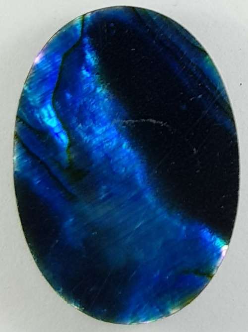 BLUE PAUA SHELL CABOCHON -  14 x 10mm OVAL