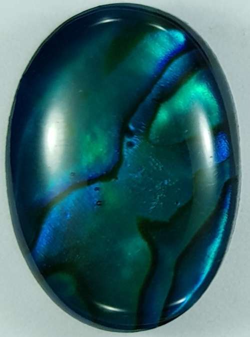 BLUE PAUA SHELL CABOCHON -  14 x 10mm OVAL