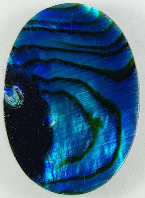 BLUE PAUA SHELL CABOCHON -  14 x 10mm OVAL