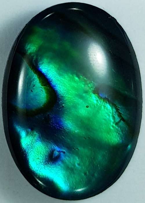 BLUE PAUA SHELL CABOCHON -  14 x 10mm OVAL