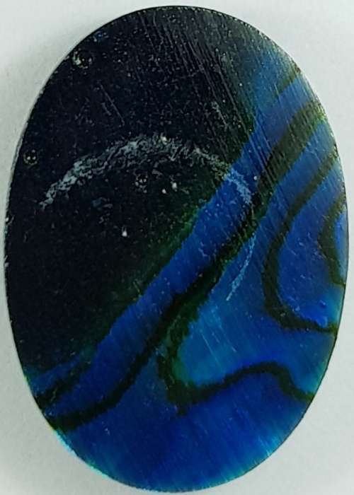 BLUE PAUA SHELL CABOCHON -  14 x 10mm OVAL