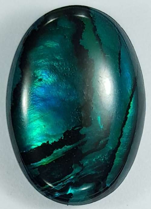 BLUE PAUA SHELL CABOCHON -  14 x 10mm OVAL
