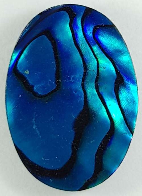 BLUE PAUA SHELL CABOCHON -  14 x 10mm OVAL
