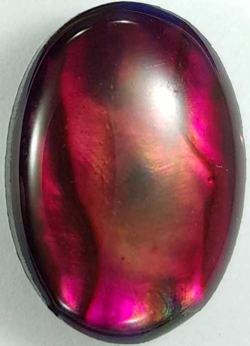 RED PAUA SHELL CABOCHON -  14 x 10mm OVAL