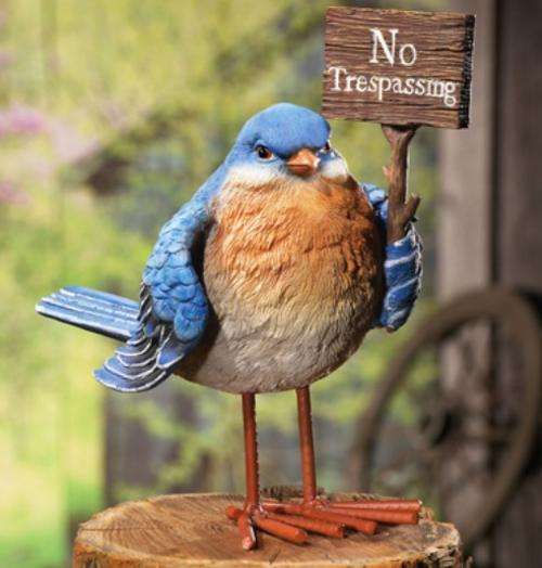 Angry Bird Garden Decor