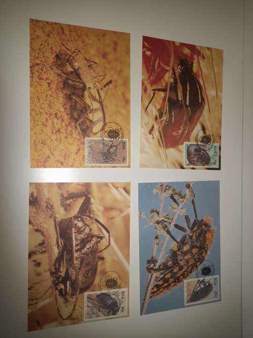 firstday edition post cards lot 1