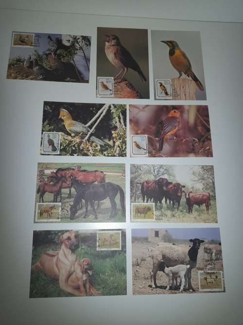 firstday edition postcards lot 3