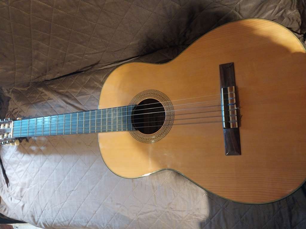 Ibanez acoustic guitar