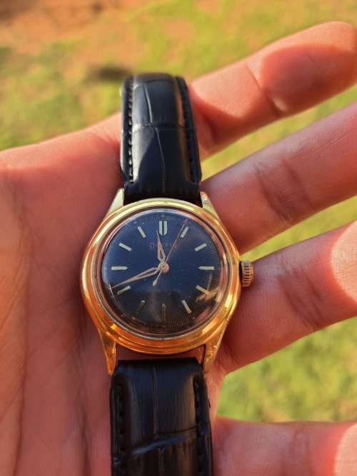 Gorgeous Vintage Delfin automatic watch - RESTORED