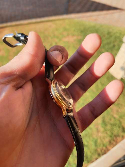 Gorgeous Vintage Delfin automatic watch - RESTORED