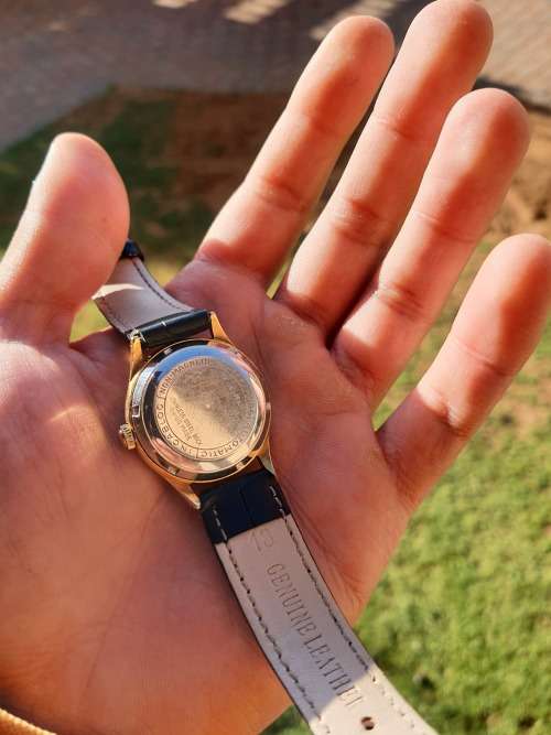 Gorgeous Vintage Delfin automatic watch - RESTORED