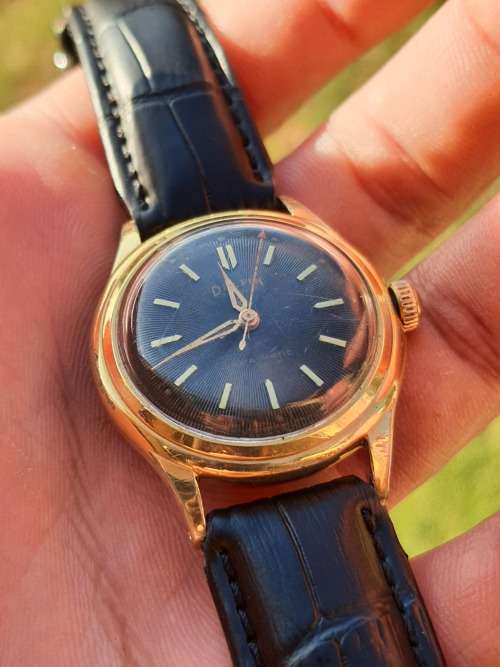 Gorgeous Vintage Delfin automatic watch - RESTORED