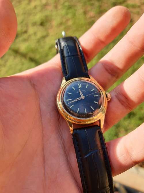 Gorgeous Vintage Delfin automatic watch - RESTORED