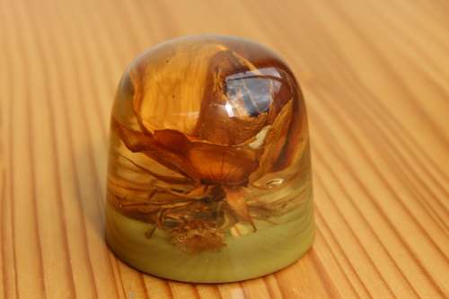 Stunning Vintage genuine rose paperweight signed by the artist