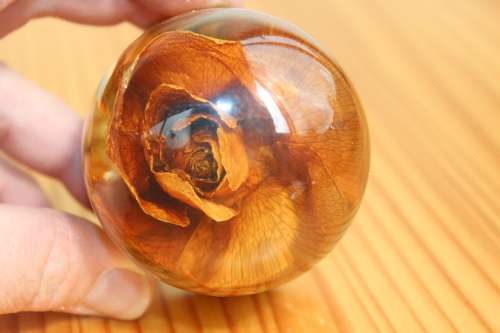 Stunning Vintage genuine rose paperweight signed by the artist