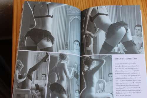 Sex Secrets by Nicole Bailey stunning fully illustrated