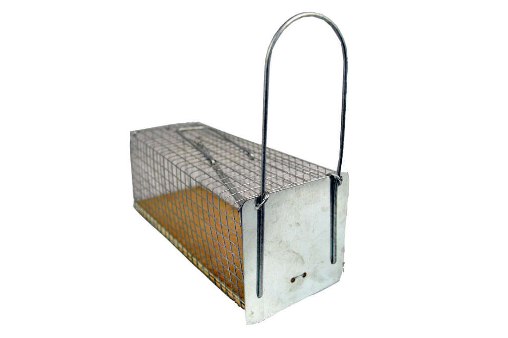 MOUSE TRAP HUMANE CATCH N RELEASE - 24 X 10 X 10CM