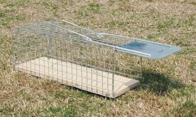 MOUSE TRAP HUMANE CATCH N RELEASE - 24 X 10 X 10CM