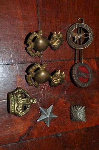 COLLECTION OF BADGES