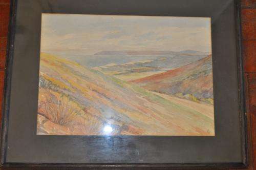 AMAZING WATERCOLOR SIGNED BY ARTIST "H.S."