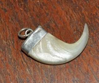 LION CLAW AND SILVER PENDANT