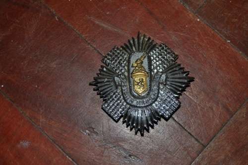 CAPE TOWN HIGHLANDERS BADGE
