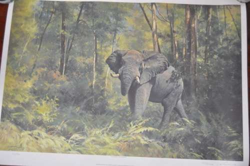 DINO PARAVANO LITHOGRAPH,SIGNED BY ARTIST,NUMBERED