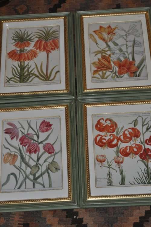 SUPERB!!! COLLECTION OF 4 FLORAL PRINTS IN EXCELLENT STYLISH FRAMES