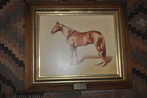 FRAMED OLEO GRAM OF HORSE