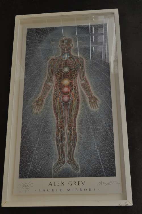 WOW!!! ALEX GRAY LITHO,SIGNED BY ARTIST, FROM "SACRED MIRRORS",VALUE R7500-GRAB IT!!!!