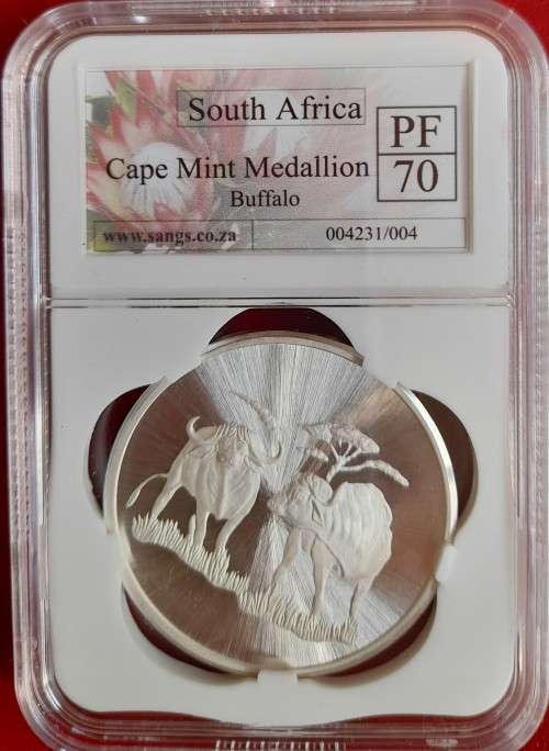 SA CAPE MINT SILVER MEDAL THE BUFFALO SANGS GRADED PROOF 70!!!!!!  PERFECT GRADE!!!!!!