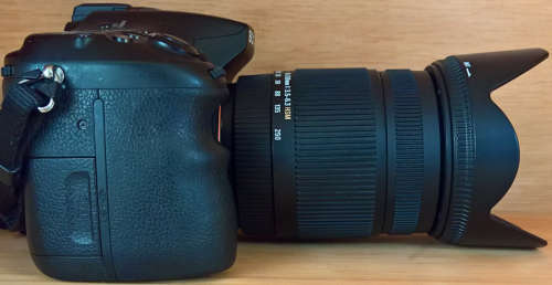 Sony Alpha SLT-A77V /w Sigma 18-250mm F3.5-6.3 DC OS HSM Lens