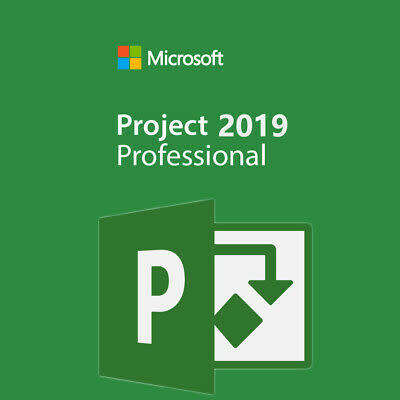 Project professional 2019
