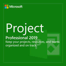 Project professional 2019