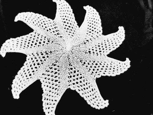 Star shape knitted white doilie 32 cm
