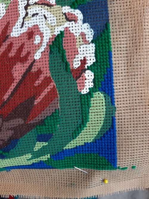Tapestry canvas and yarns - Proteas - large - 40cm x 53cm