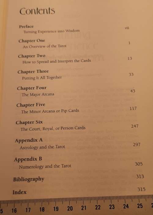 Tarot Book plain and simple by Anthony Louis 322 Pages