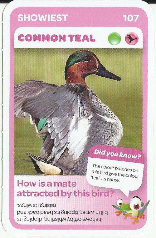 PICKnPAY SUPER ANIMAL CARD AS ILLUSTRATED!