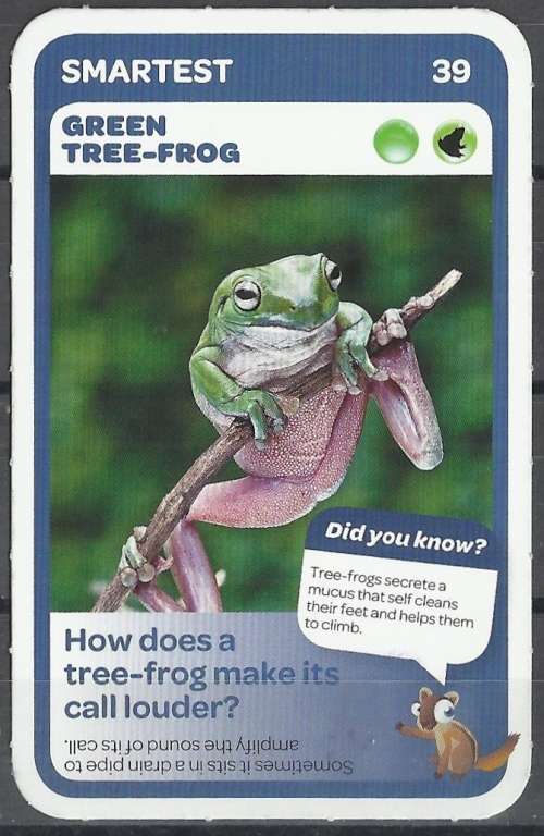 PICKnPAY SUPER ANIMAL CARD AS ILLUSTRATED!