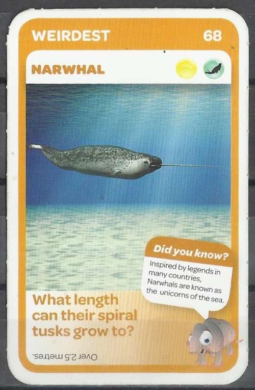 PICKnPAY SUPER ANIMAL CARD AS ILLUSTRATED!