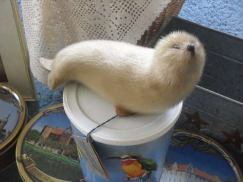 BUYER TO COLLECT IN PRETORIA - GOODY LOT AS ILLUSTRATED!