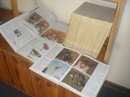 BUYER TO COLLECT IN PRETORIA - BOOKS, BOOKS AND MORE BOOKS!