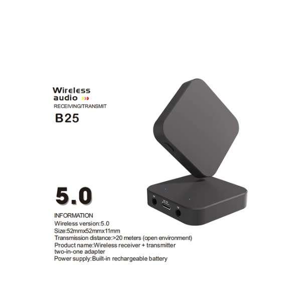 DW 2 In 1 Wireless Audio Receiver And Transmitter BT 5.1 - B25