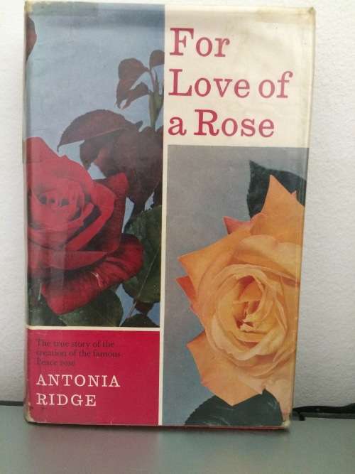 For the Love of a Rose - Antonia Ridge