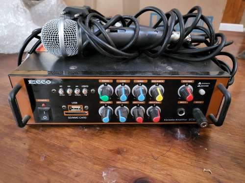 Karaoke amplifier with two mikes